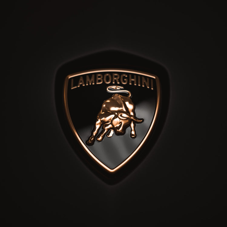 Lamborghini Revuelto Bike Rack/Carrier