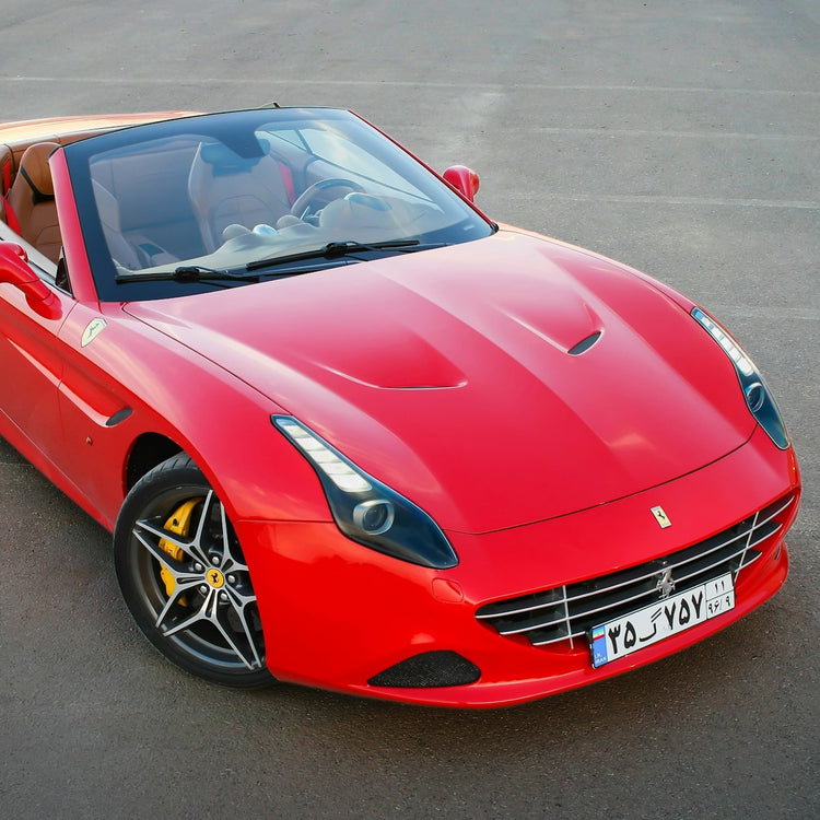 Ferrari California Bike Rack/Carrier