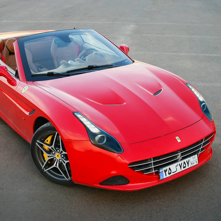 Ferrari California Ski Rack/Carrier