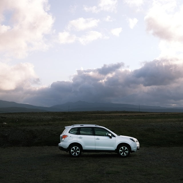 Subaru Forester Ski Rack/Carrier