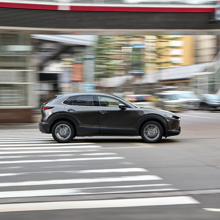 Mazda CX-30 Ski Rack/Carrier